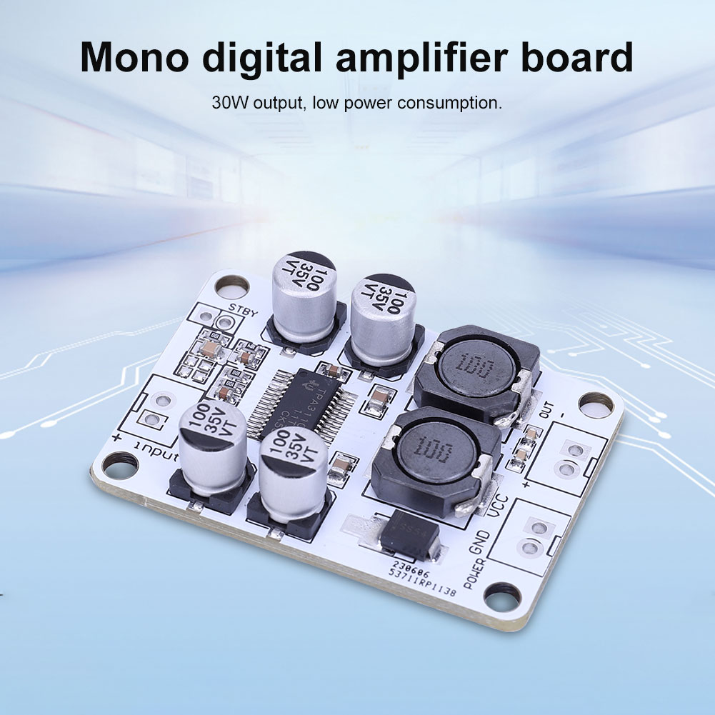 TPA3110 PBTL Enkelkanaals Vers - Best Diy Electronics Kits recensie en prijs