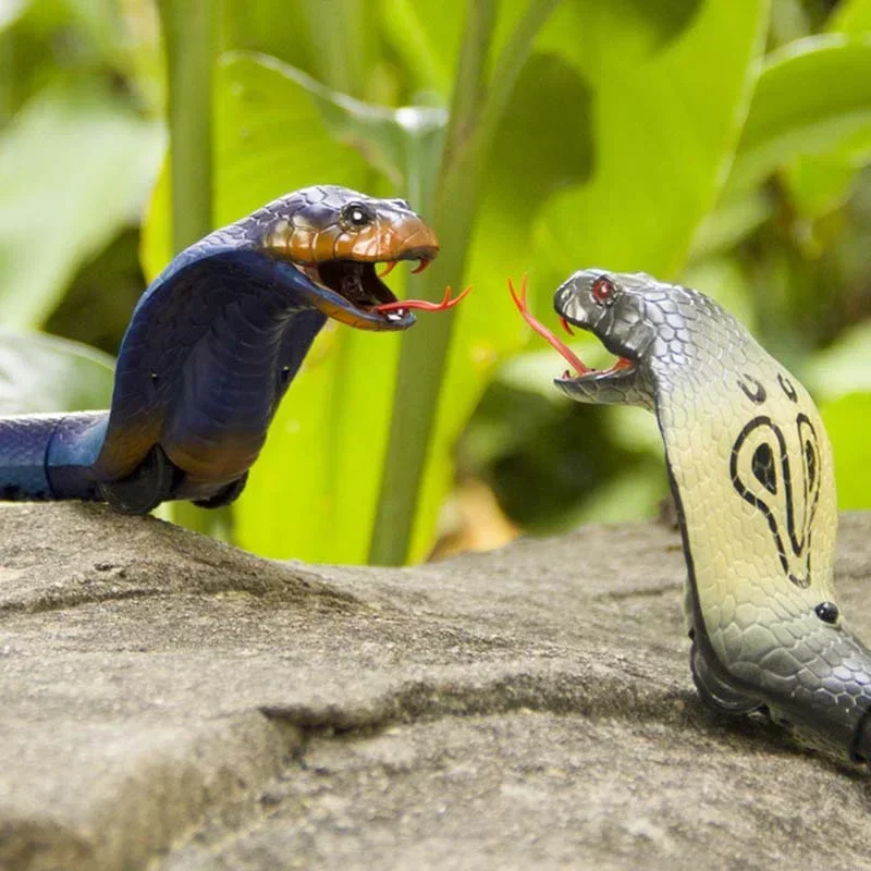 RC Snake Realistisch Slangspee - Ir Infrared Receiver recensie en prijs